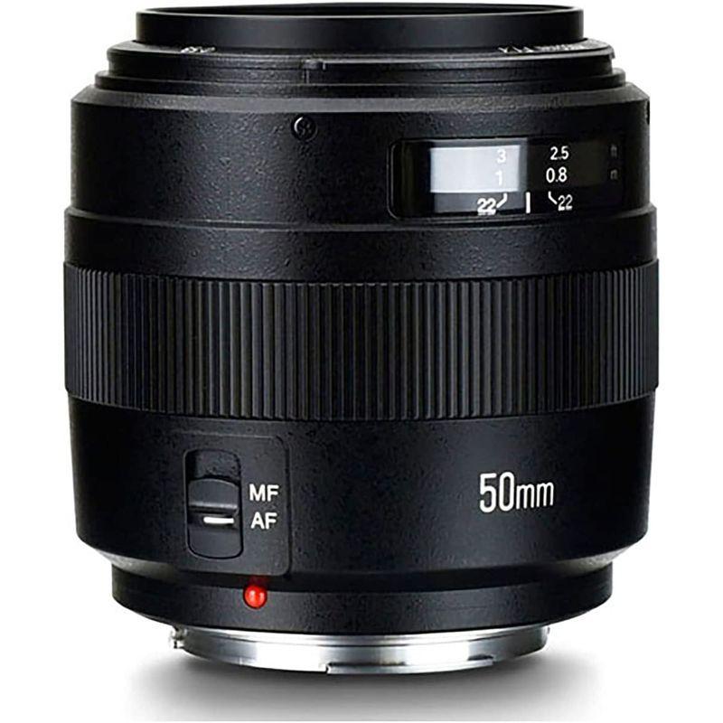 最安値❕ YONGNUO YN50mm F1.4 C キャノンEFマウント 標準レンズ 単焦点レンズ RP/R5/R/1500D/80D/5DIV/5 【Q2475232537】(14421円)