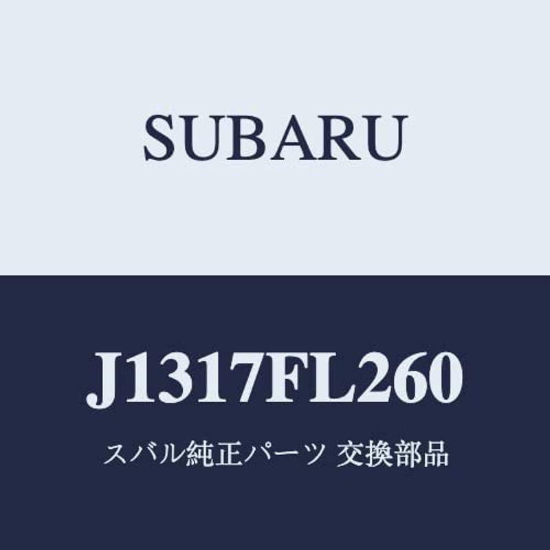お早め発送 SUBARU(スバル)純正部品 IMPREZA(インプレッサ) 2020.10?(Eタイプ) リヤドアパネル
