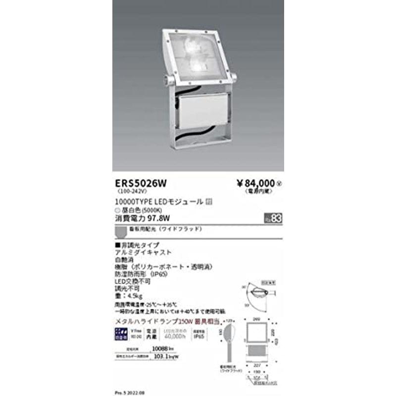 遠藤照明　アウトドアライト　軽量コンパクトスポットライト　10000TYPE　昼白色　看板用配光　白艶消　看板灯　ERS5026W