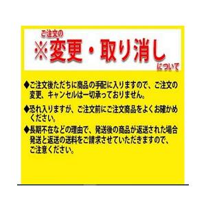 日本専門店 アルパインスターズ バイクグローブ ブラック/イエローフロー (サイズ:M) ATOM(アトム) グローブ 1694480302