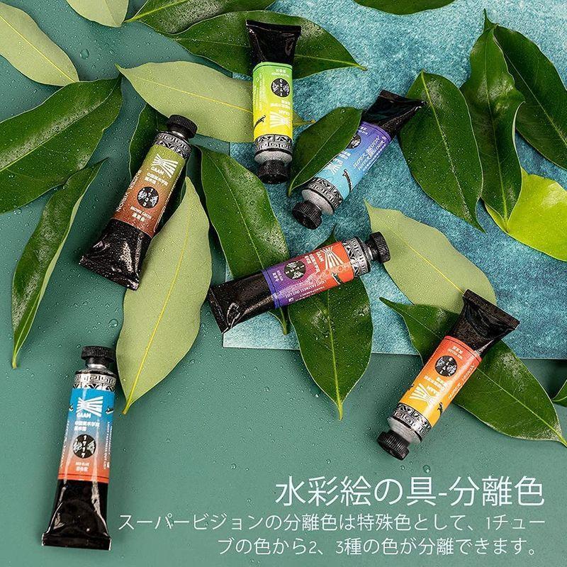 Super Vision 水彩絵の具 分離色 透明水彩 絵の具 10色 セット 15ml 透明水彩 絵の具 チューブ イラスト 漫画 ホビー 顔料 Www Gvcal Com