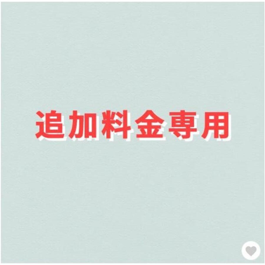 名入れ プレゼント ギフト オリジナル追加オプション料金 ご注意 事前にご相談ください 最大75 オフ