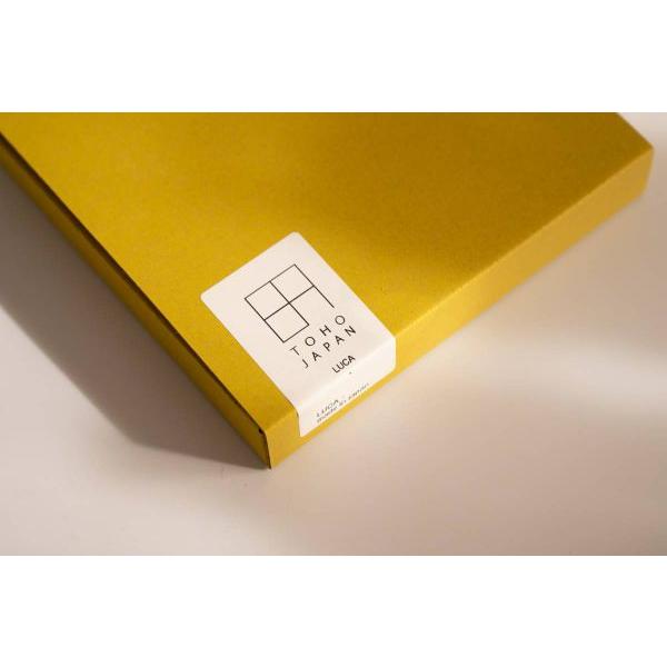 美濃焼 箱入りギフト東峰窯 Luca (ルカ) 16cmプレートSS オーブ