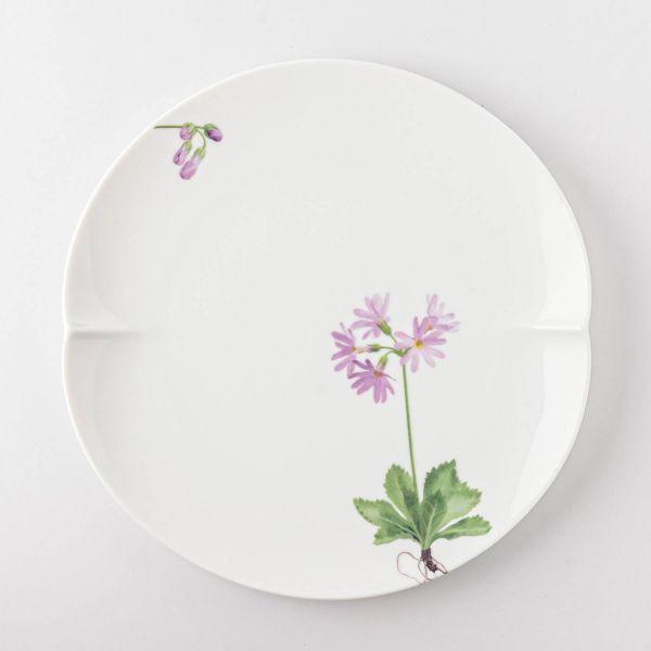 美濃焼 ギフト深山(miyama.) 谷川岳 七寸和皿五枚組 日本製