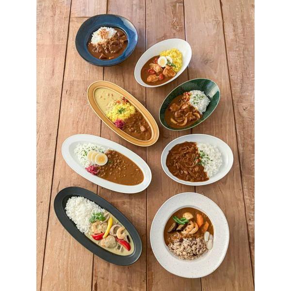 美濃焼 深山(miyama.) いつものカレー皿 ブラック(ラッカ31cmポワソン