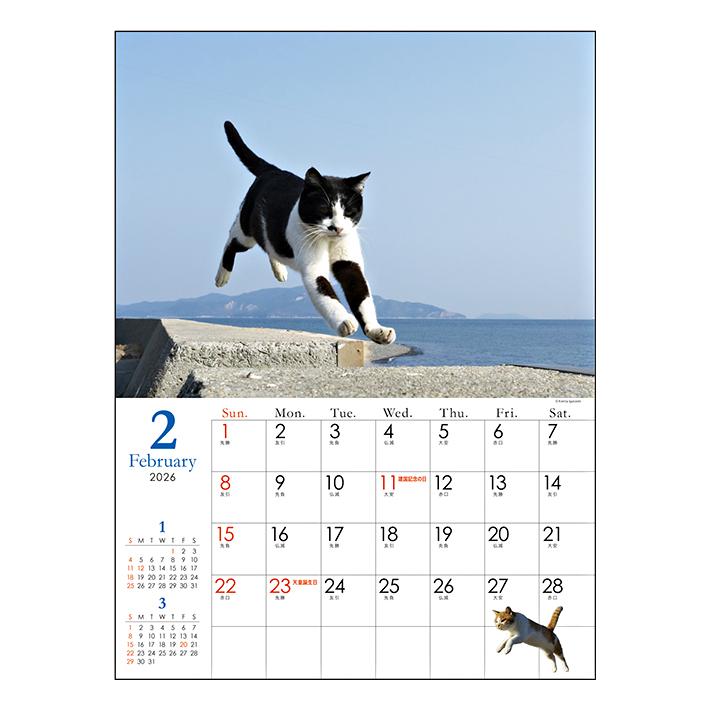 ねこ様へ①④ わこ🍉神ねこ10巻2025/07/18発売 on X: 