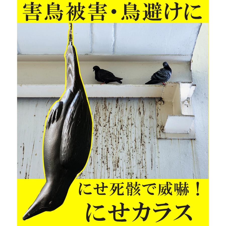 にせカラス カラスよけ 防鳥対策 鳥避け 鳥対策 ハトよけ つばめ 鳥
