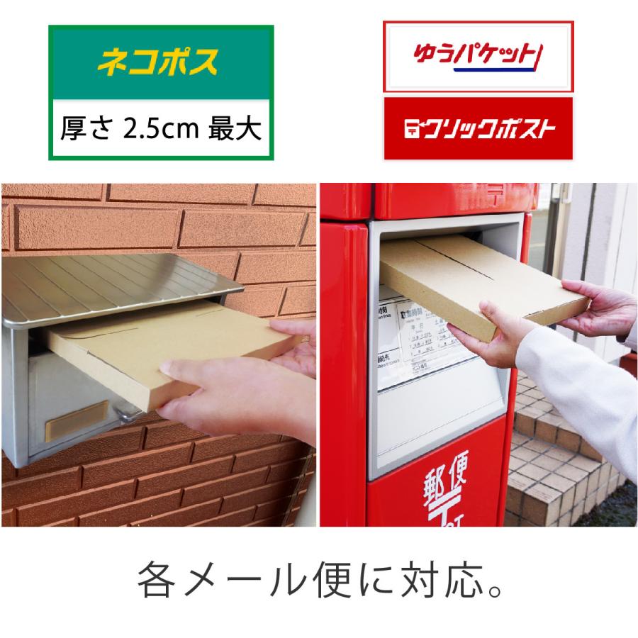 コンポス ネコポス最大サイズ A4厚さ2.5cm対応 メール便ケース