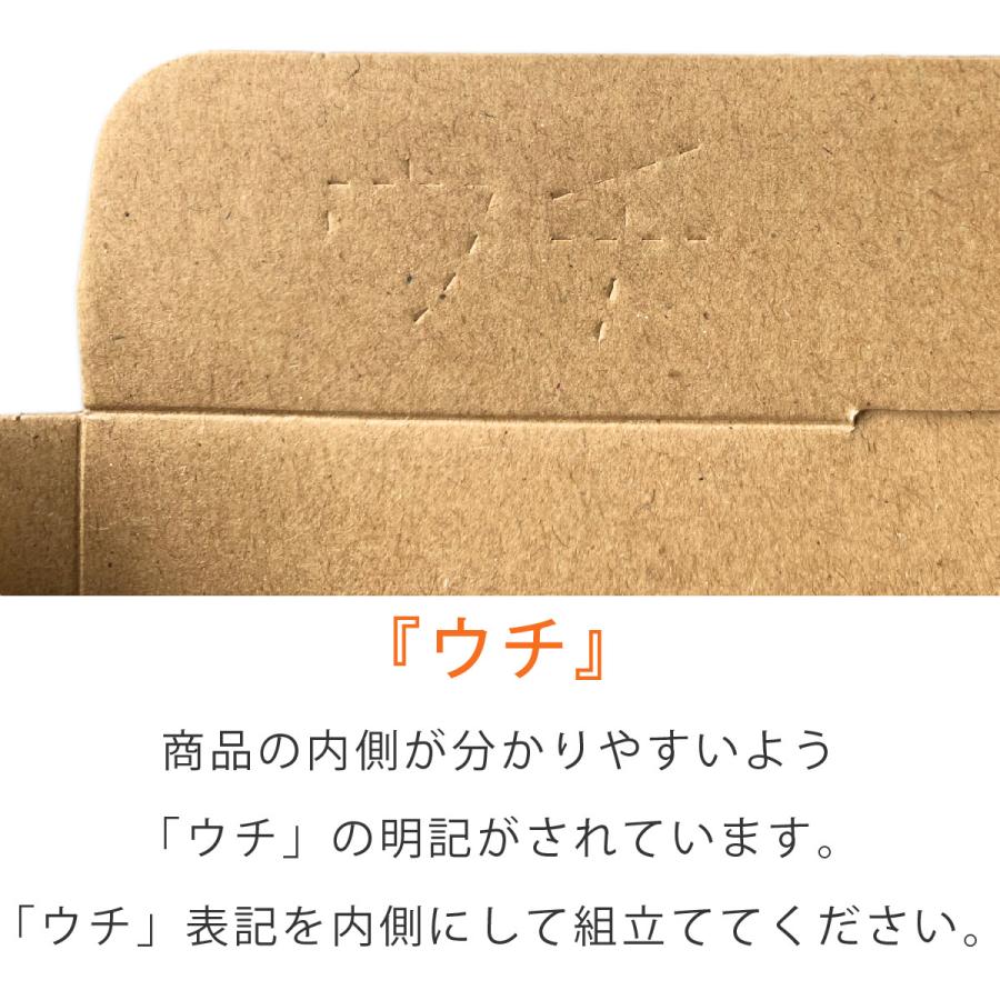 コンポス B5厚さ2.5cm ネコポス ゆうパケット クリックポスト
