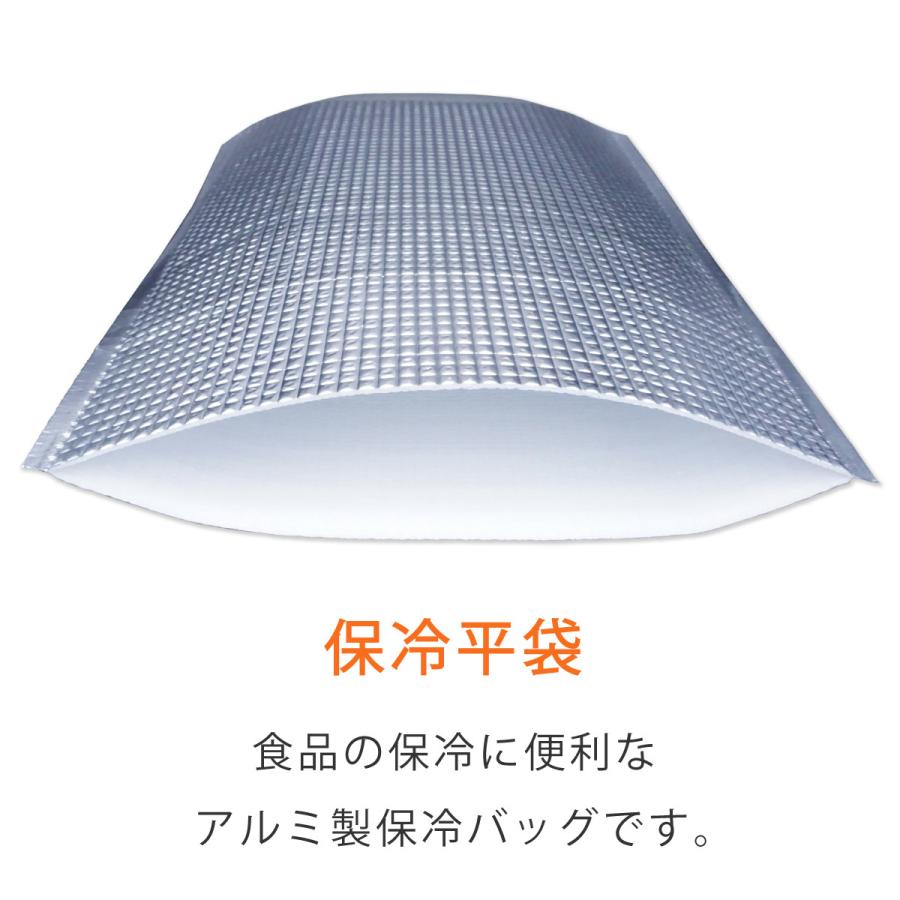 保冷袋 アルミ 業務用 平袋 Sサイズ 外寸:215×275mm 内テープ無し 持ち手穴無し 500枚の画像