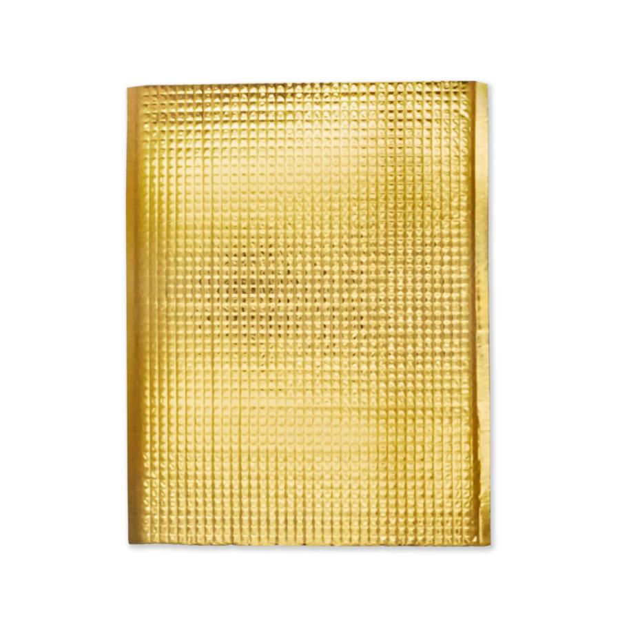 【保冷袋】500枚  Sサイズ  平袋(持ち手穴無し・テープ無し) 保冷袋】500枚 Sサイズ 平袋(持ち手穴無し・テープ無し)