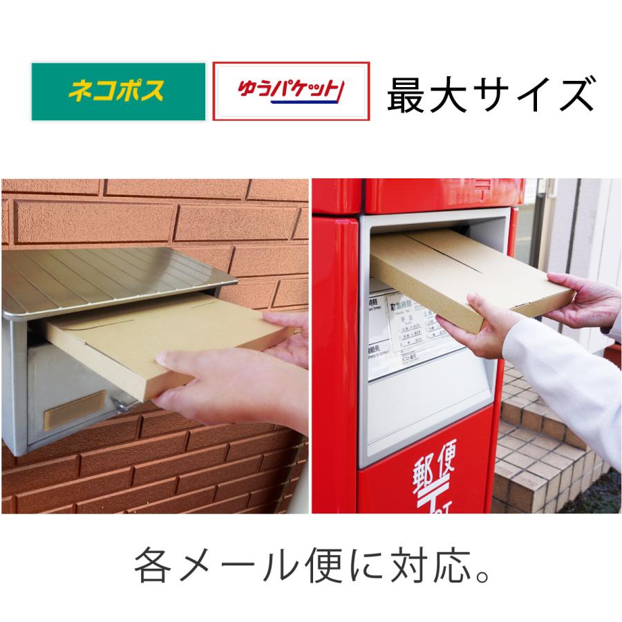 コンポス A4厚さ3cm対応 ネコポス ゆうパケット最大 クリックポスト