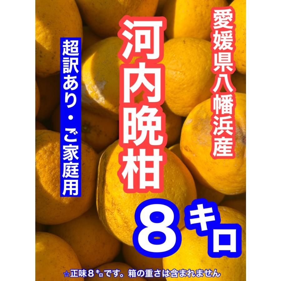 愛媛県八幡浜産 河内晩柑8キロ 超訳あり・ご家庭用・ご家庭用S〜 3L以上 箱の重さは含まれません