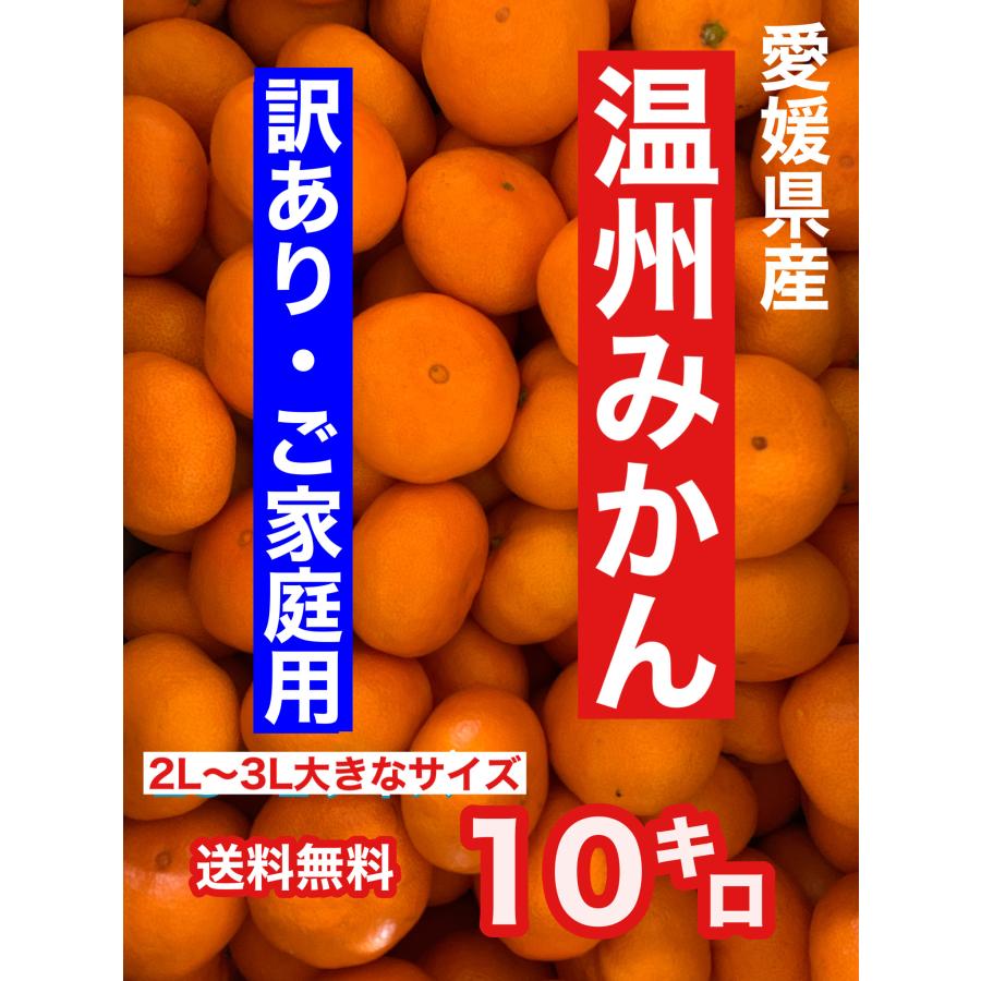 愛媛県八幡浜産 訳あり早生みかん10キロ「 大玉サイズ」2L〜3L風邪予防