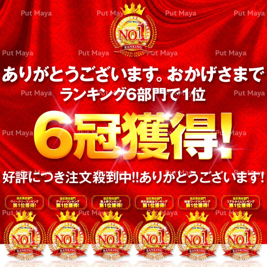 【在庫処分価格】【精神科医&柔道整復師監修】枕 まくら ストレートネック 肩こり 安眠枕 低反発枕 快眠枕 いびき 改善 人間工学 頸椎安定 安眠 低反発 |  | 08