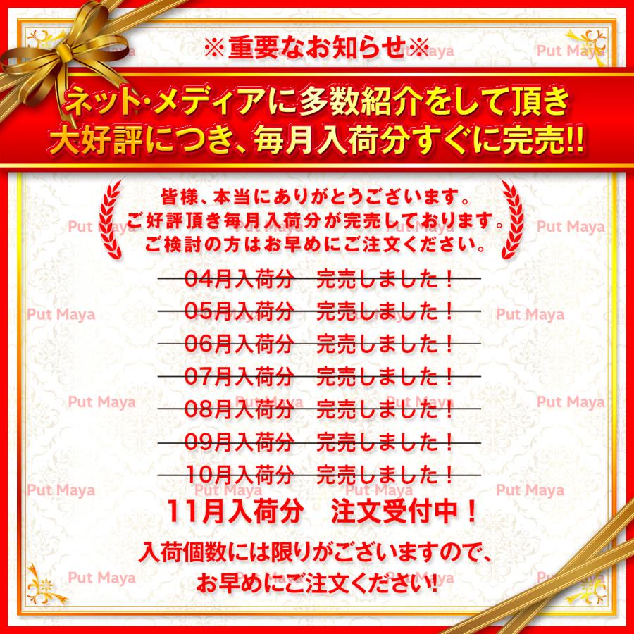 シャワーヘッド 節水 水圧強い 高水圧 低水圧 手元止水 3段階モード 増圧ヘッド 増圧 入浴 お風呂 シャワー 気持ちよいシャワー 丈夫で長持ち 送料無料 |  | 16