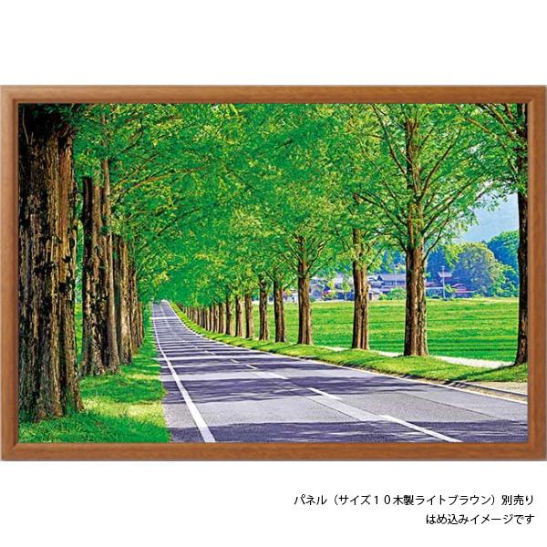 アップルワン（APPLEONE） ジグソーパズル 1000ピース メタセコイアの