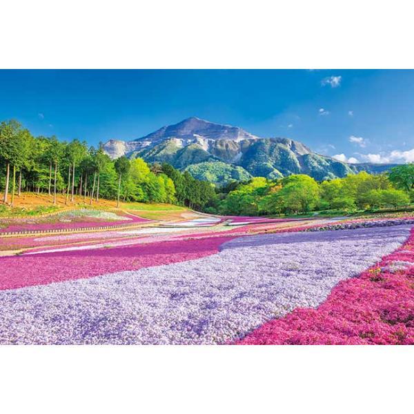 ジグソーパズル 1000ピース 春のじゅうたん羊山公園 埼玉 日本風景 アップルワン 1000-883（Yahoo!・パズル生活Yahoo!店）