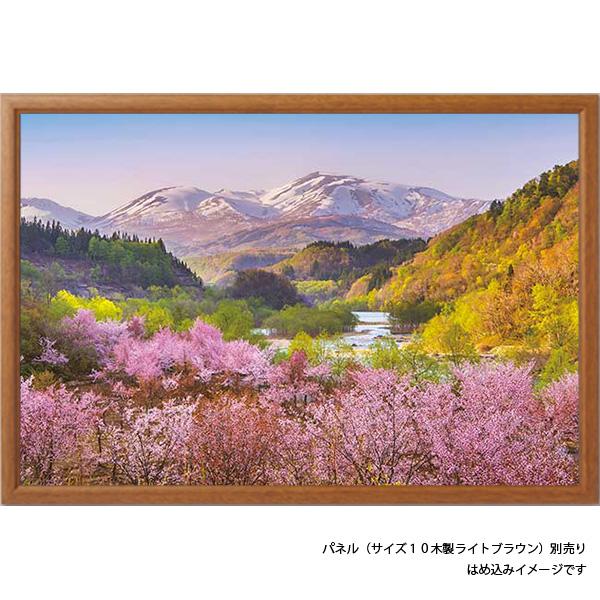 ジグソーパズル 1000ピース 風景 / 春茜 月山と大山桜 山形 / 日本製