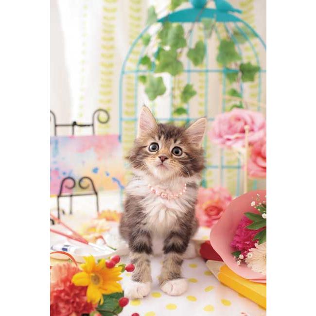 ジグソーパズル 300ピース うるふわにゃんこ 猫 動物写真 アップルワン 300-400（Yahoo!・パズル生活Yahoo!店）