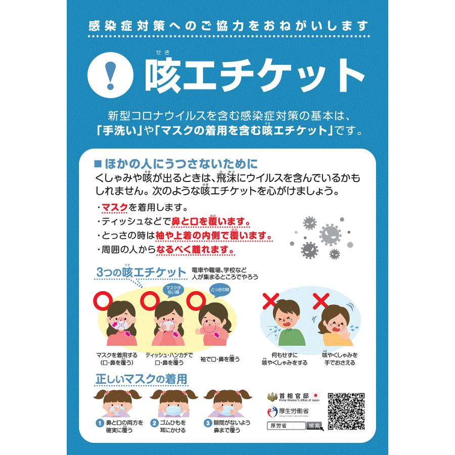 アルコールスプレー 5L ２本 薬用 速乾性 さらさらの ウイルス対策 指定医薬部外品 コスモビューティー サニミスト 24927-2｜pvd1｜12