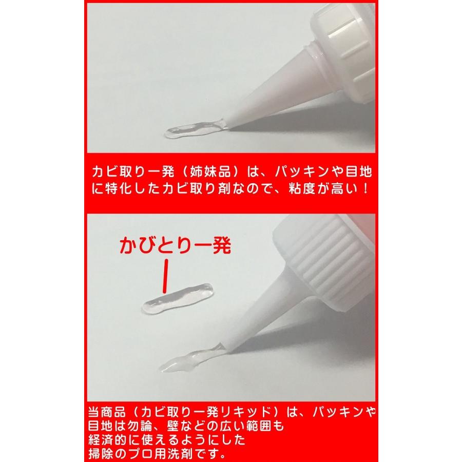 カビ取りジェル100g ノズル 高濃度 強力 カビ取り剤 カビとり剤 浴室 風呂 木材 ゴムパッキン カビ取り一発 カビとりジェル S 2472 100gb Proバイダー ヤフー店 通販 Yahoo ショッピング