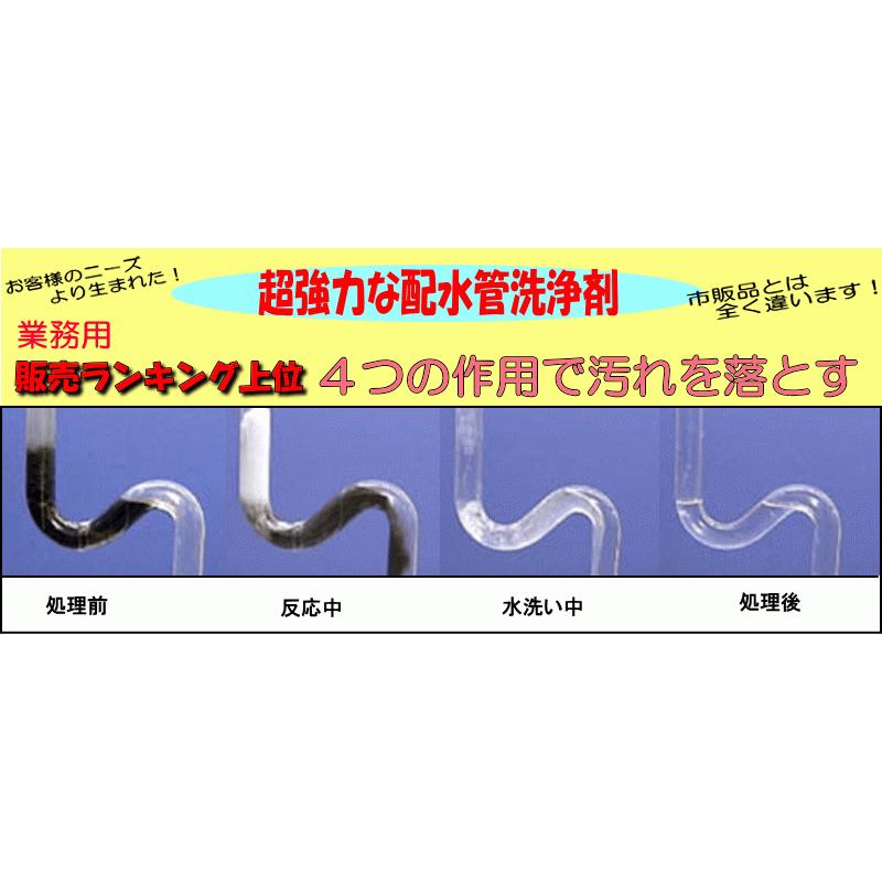 ピーピースルーF 600g 業務用 パイプ通し剤 下水管 通し｜pvd1｜02