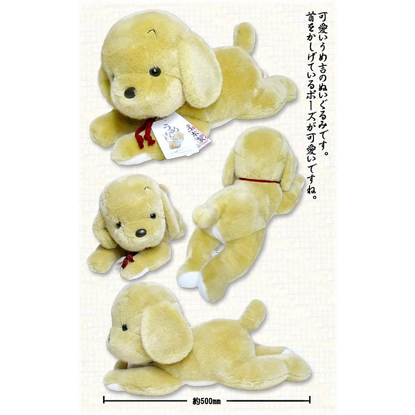 うめ吉シリーズ・うめ吉ベージュ L : 風の詩ダヤンとぬいぐるみの専門