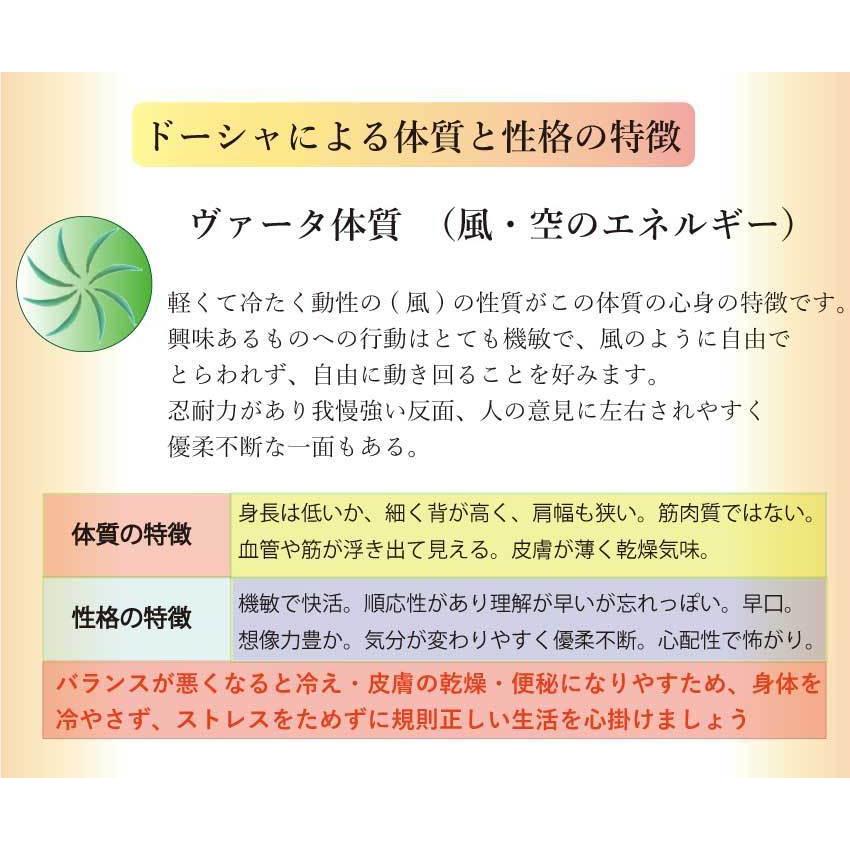アーユルヴェーダマッサージオイル ヴァータ ピッタ カパ アシュワガンダ配合 ボディオイル エステサロン用 日本製 200ml 3本セットの画像