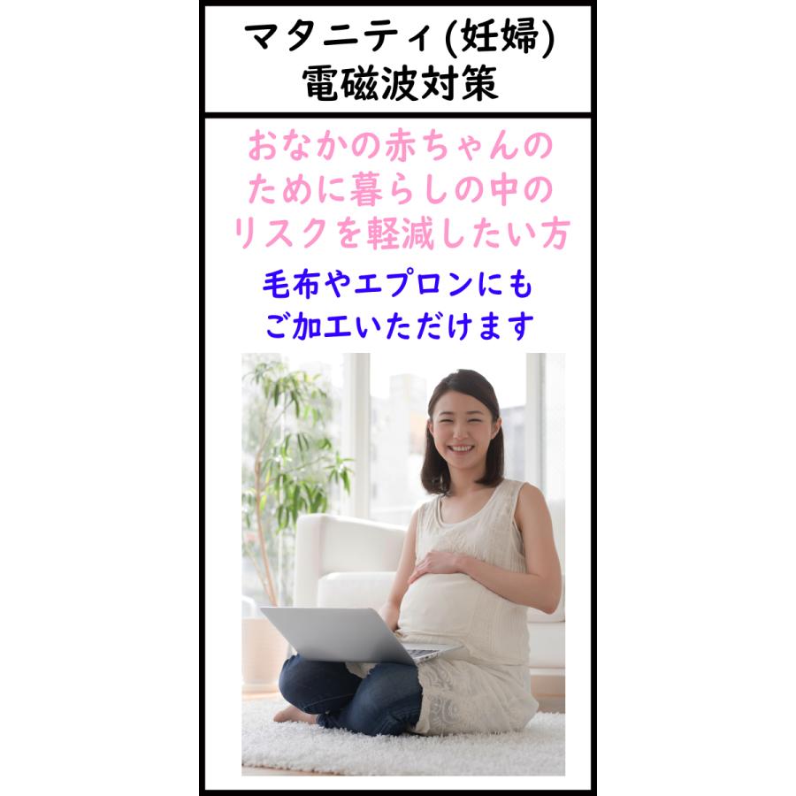 電磁波対策　慶長慧音　ストレスシールドセミナー&解説　人工電磁波・音波・光波対策 Amazon.co.jp: 慶長 慧音 ストレスシールドセミナー ＜人工
