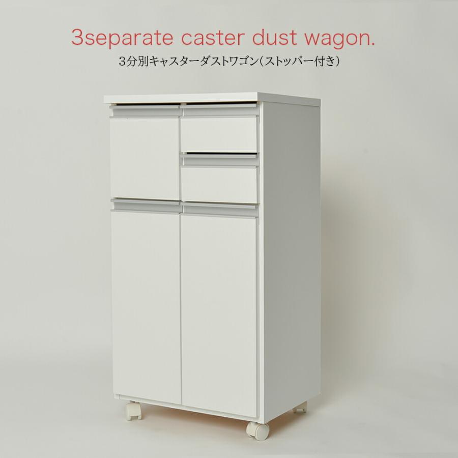 なな　４本　箱入 9-5714-12 ニューキャリーボックス （PET製） 2PT 【AXEL】 アズワン