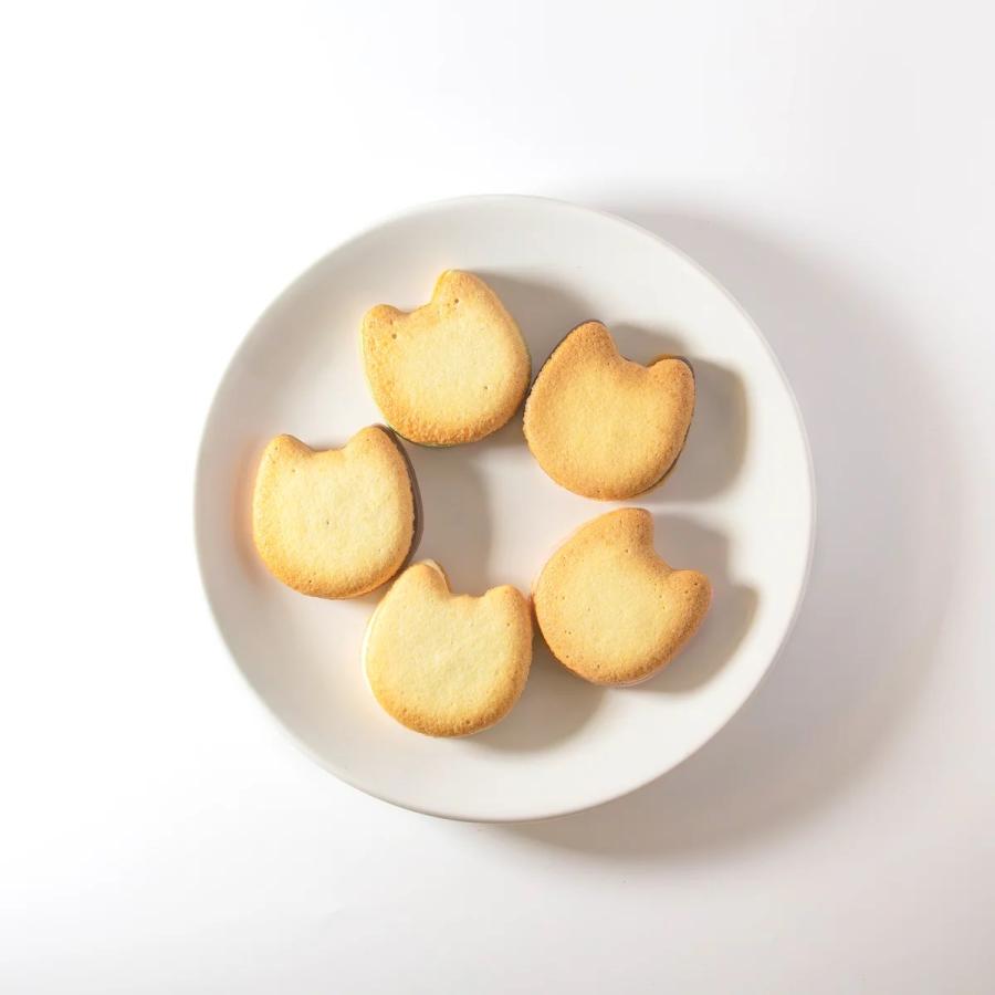 CACAOCAT SAND缶 ミックス 5個入り : PX-STORE Yahoo!店 - 通販