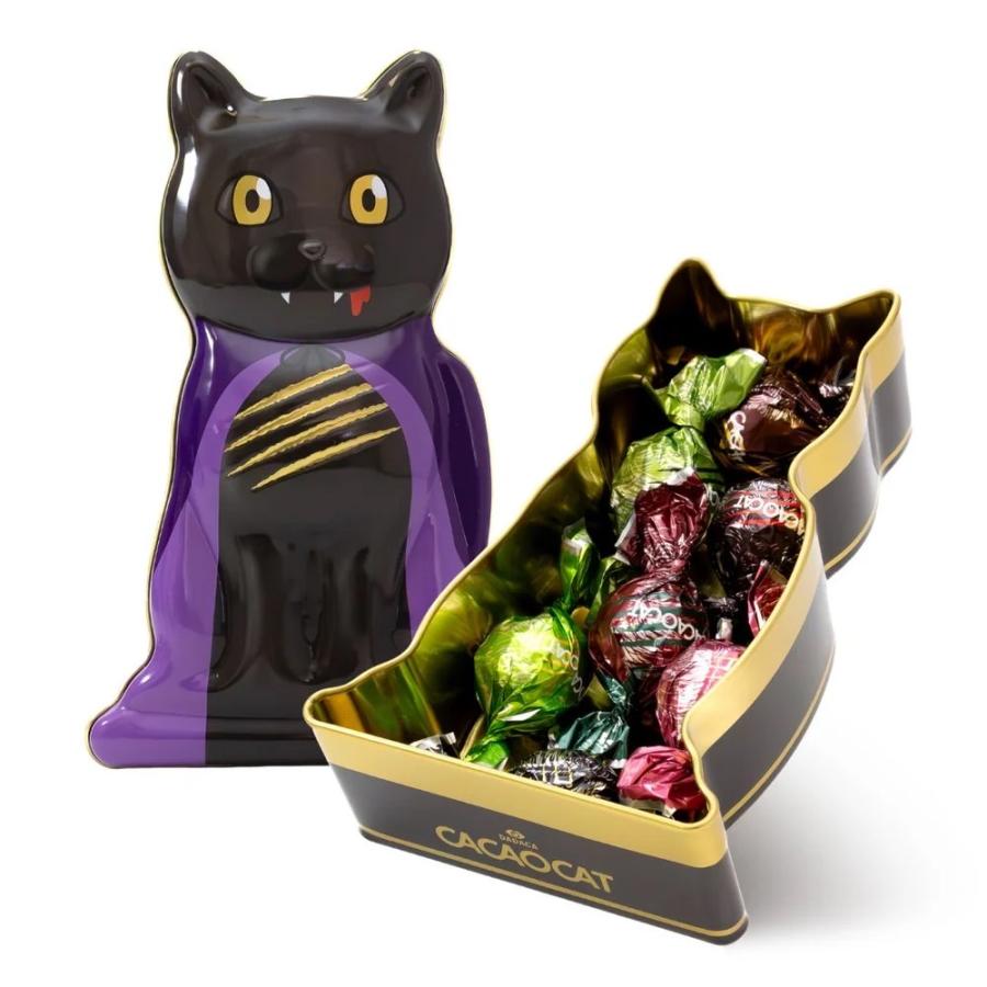 オオモリ キヨ　ココアキャット オオモリ キヨ ココアキャット オオモリ キヨ ココアキャット d