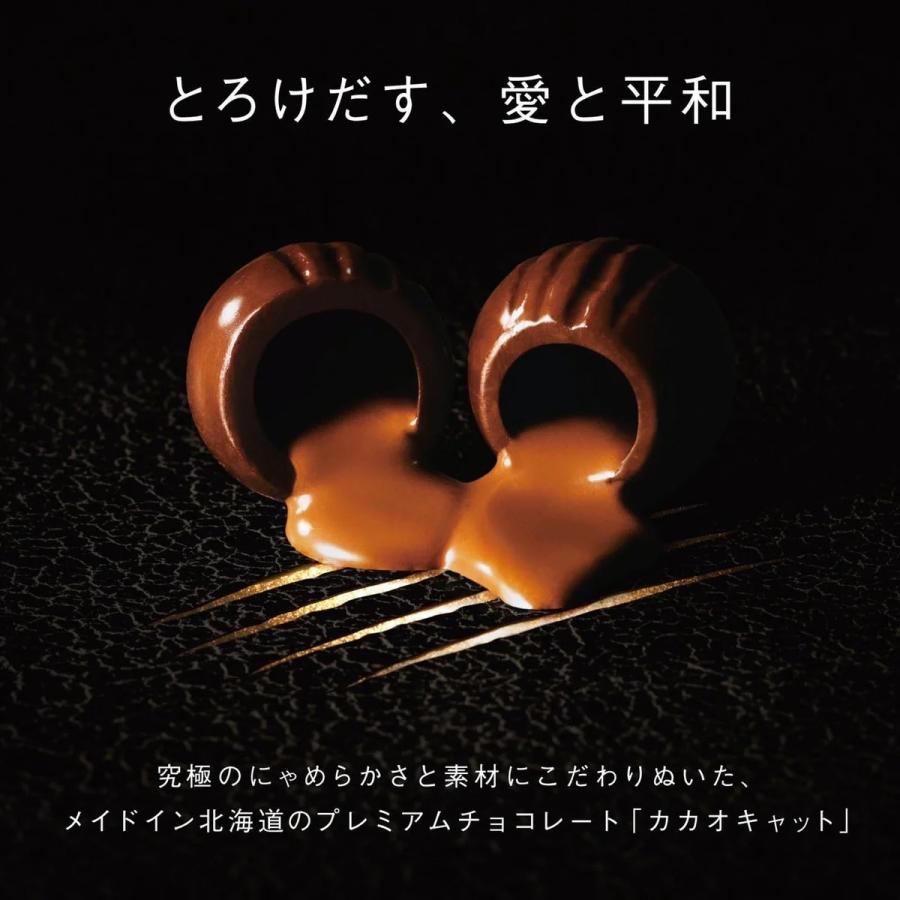 CACAOCAT缶 5個入『美少女戦士セーラームーン』スーパーセーラー