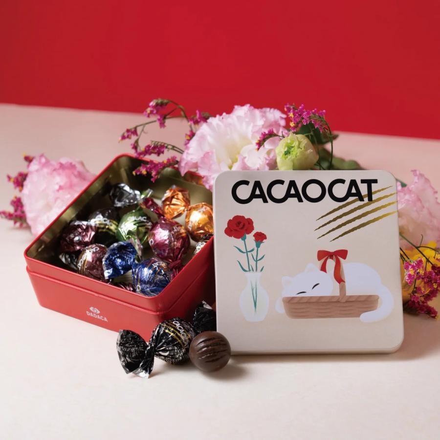 CACAOCAT缶 8個入り CARNATION ギフト : PX-STORE Yahoo!店 - 通販