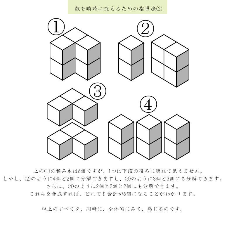 小学校入試対策 能力育成問題集13 積み木の数2 : ピグリシリーズ 小学校入試対策 能力育成問題集13 積み木の数2 : ピグリシリーズ