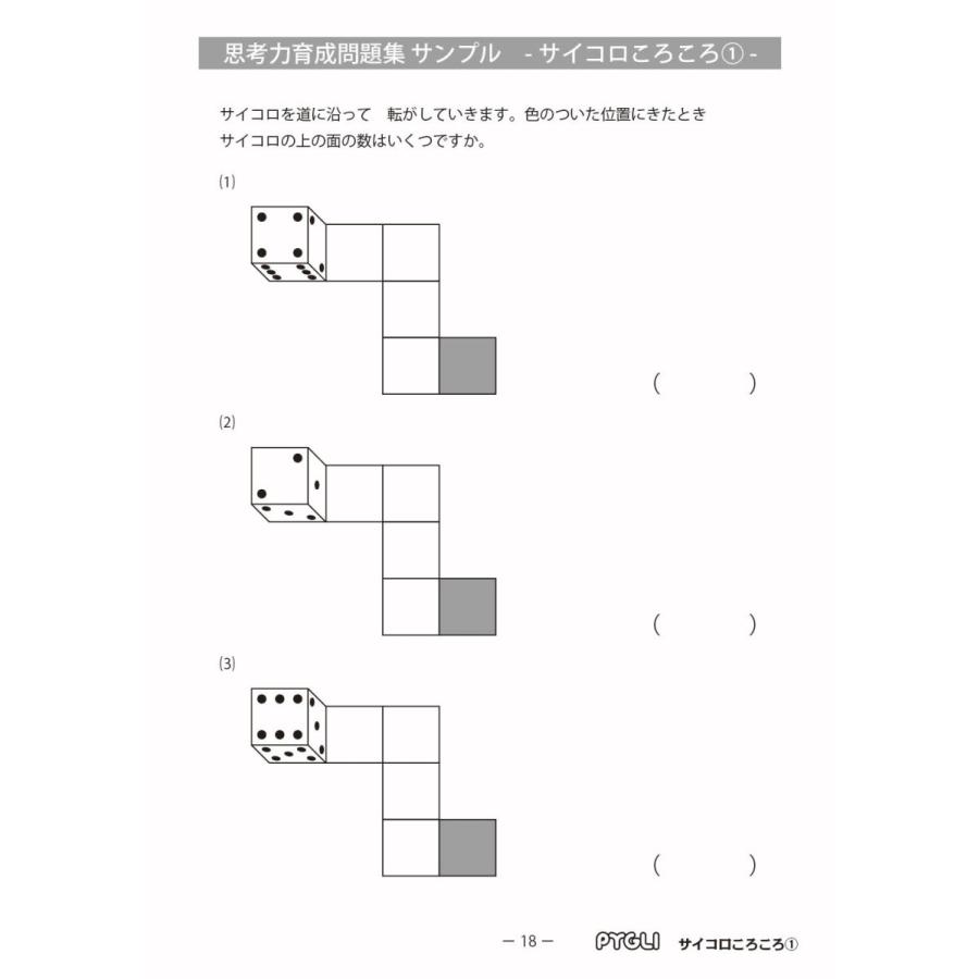 6歳児~ 思考力 パズル 思考力育成問題集 セットＤ｜pygli｜05