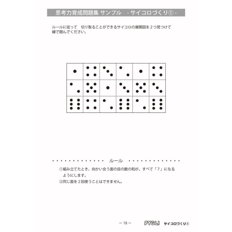 6歳児~ 思考力 パズル 思考力育成問題集 セットＤ｜pygli｜07