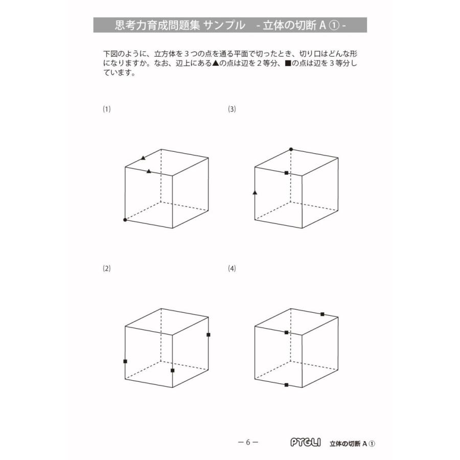 6歳児 思考力パズル 思考力育成問題集 セットｄ Pygli 0811 ピグリシリーズyahoo 店 通販 Yahoo ショッピング