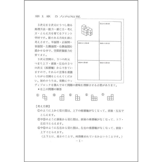 ピグマリオン 幾何学能力の育成 57-80 EC - 幼児・小学生❘思考