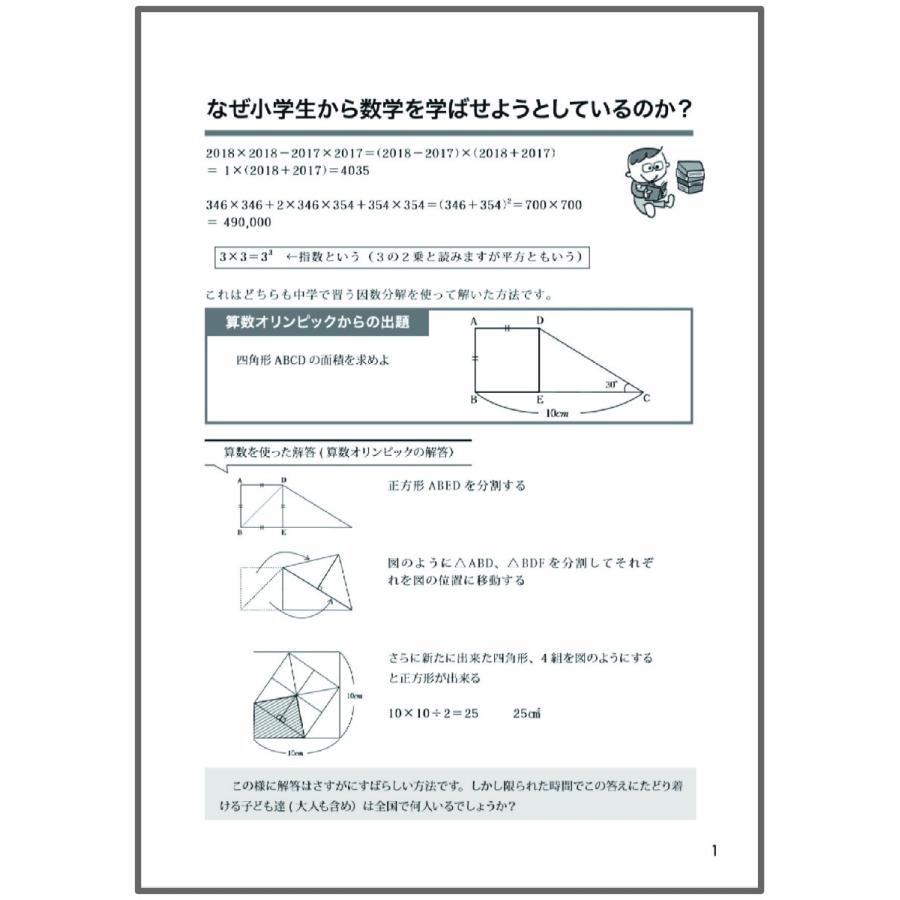 スーパーピグマリオン 年中2025 書き込みあり　参考書　教育　勉強　受験　塾 思考力育成問題集09タイル1 (ピグマリオン|PYGLIシリーズ|中学校入試