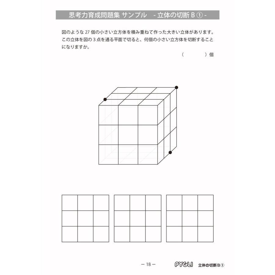 6歳児~】思考力パズル/思考力育成問題集セットD : ピグマリオン 6歳児~】思考力パズル/思考力育成問題集セットD : ピグマリオン