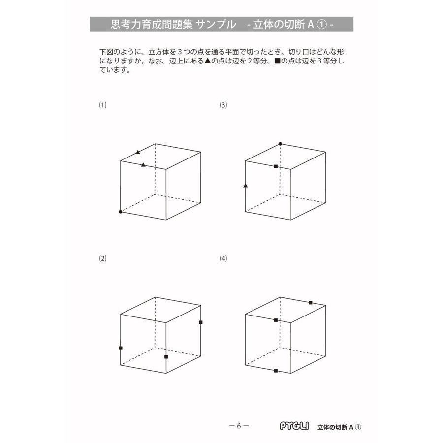 6歳児~】思考力パズル/思考力育成問題集セットD : ピグマリオン 6歳児~】思考力パズル/思考力育成問題集セットD : ピグマリオン