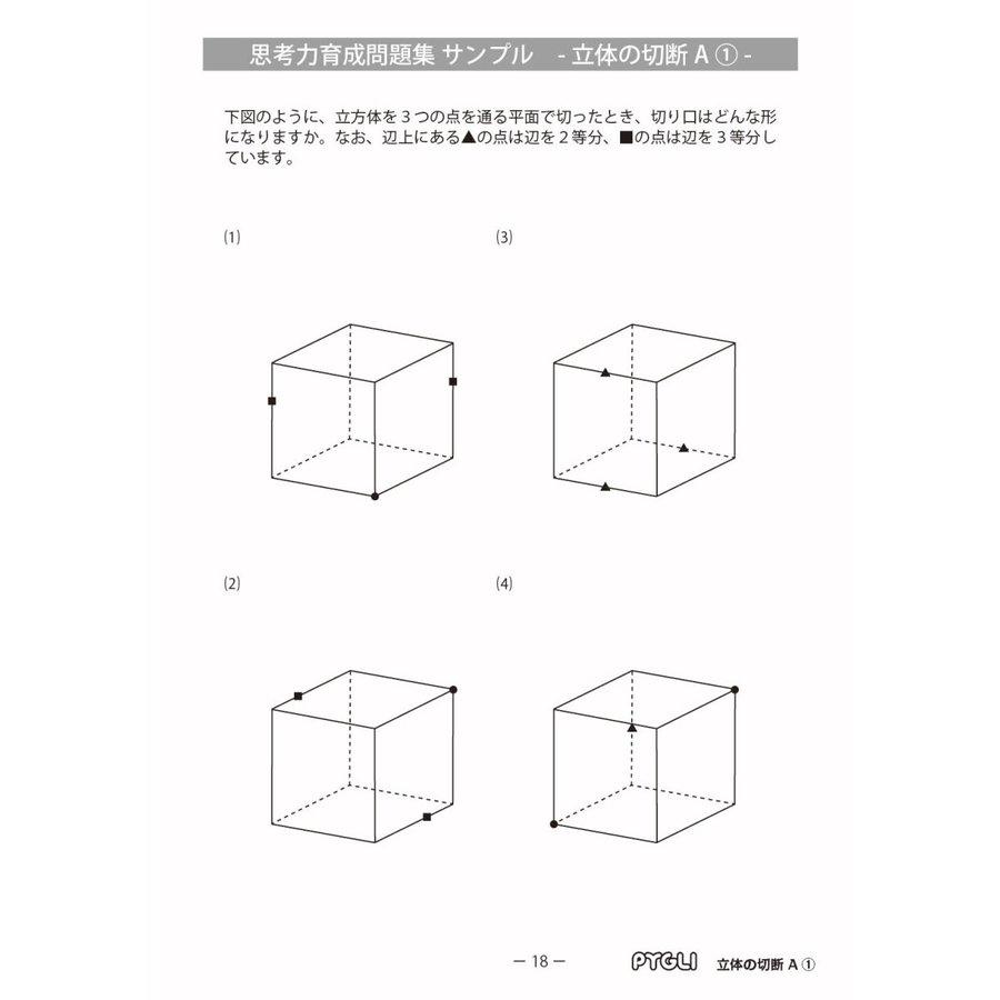 6歳児~】思考力パズル／思考力育成問題集セットD : kz30001004