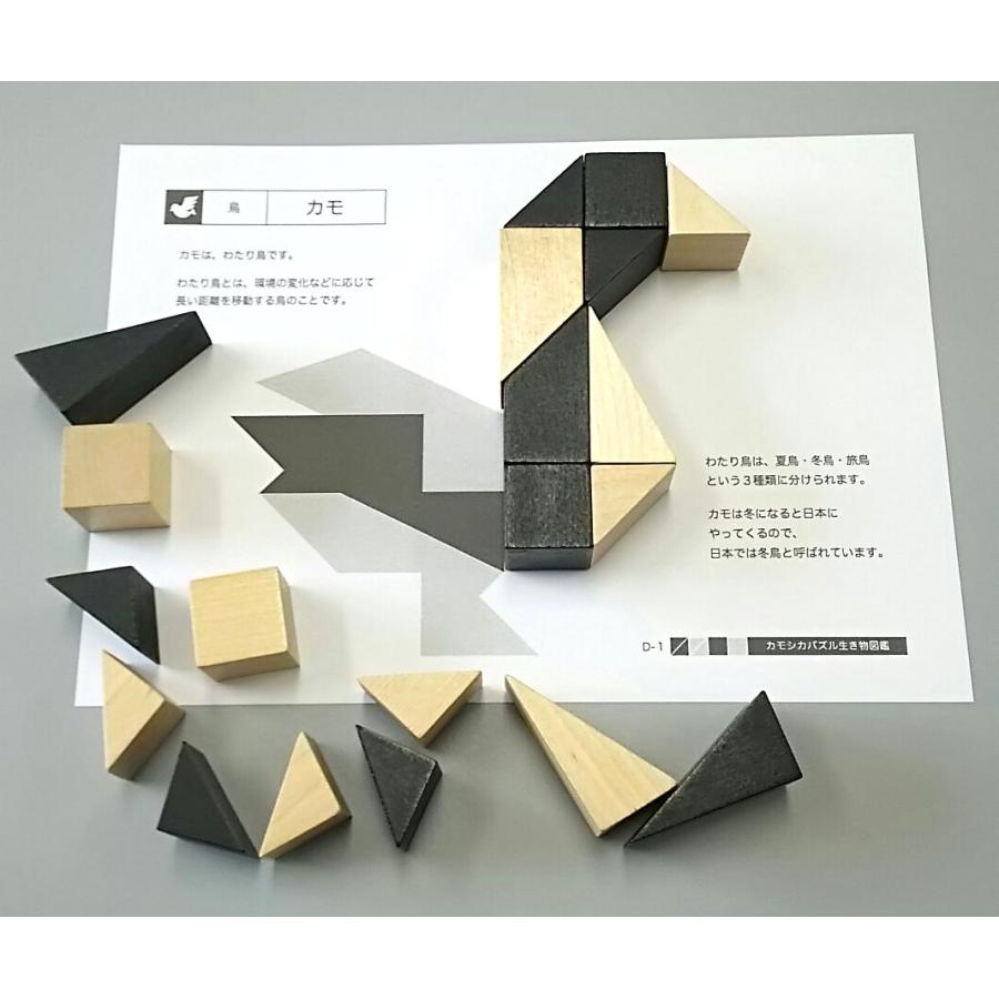 カモシカパズル生き物図鑑 4冊+パズル1箱 セット : ピグマリオン