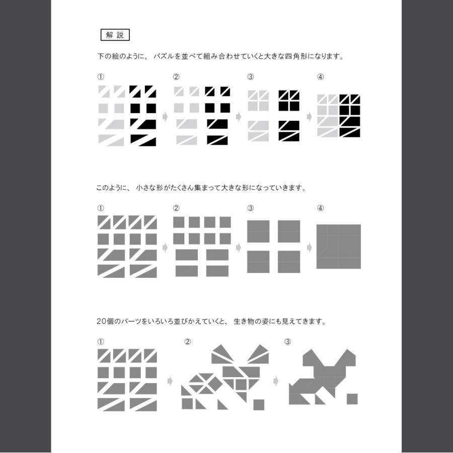 カモシカパズル生き物図鑑 4冊+パズル1箱 セット : ピグマリオン