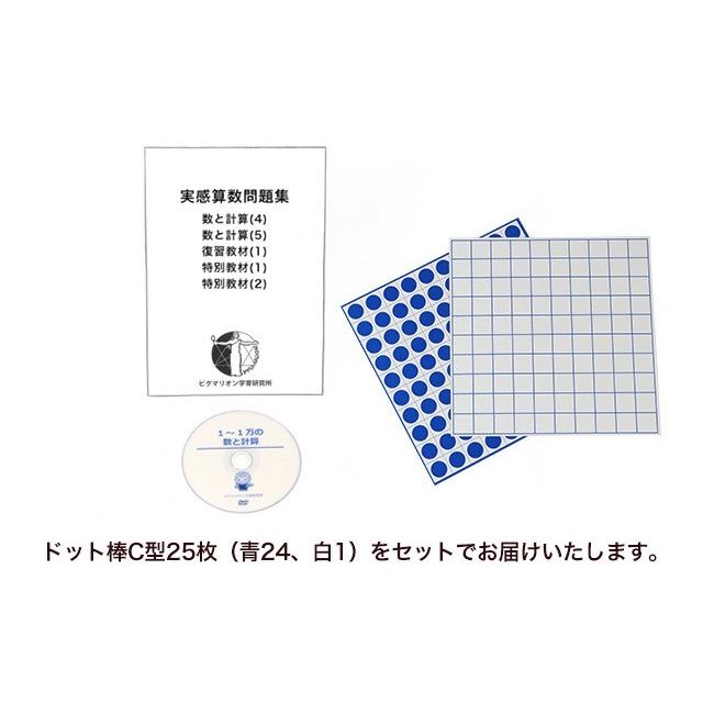 ピグマリオン ポイント学習 1〜1万の数と計算