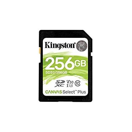直売激安 特別価格Kingston 256 GB SDXC Class 10 ???????????? SDS2 ???好評販売中