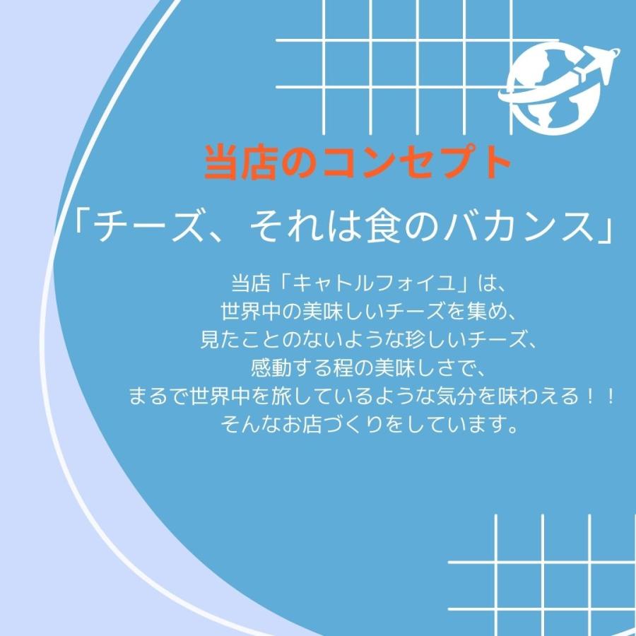 スキクイーン 1kg ポーション 1個  ゴート チーズ ノルウェー産 お土産 ノルウェー スキクィーン ゴートチーズ ブラウンチーズ キャラメル 茶色｜q-feuilles｜12