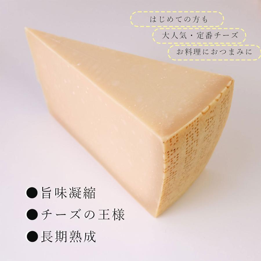 パルミジャーノレッジャーノ 熟成 36ヶ月 150g ナチュラルチーズ  長期熟成　イタリア産 キッチンチーズ クッキングチーズ お料理｜q-feuilles｜03